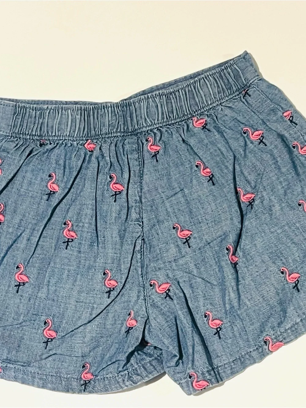 Gymboree light blue